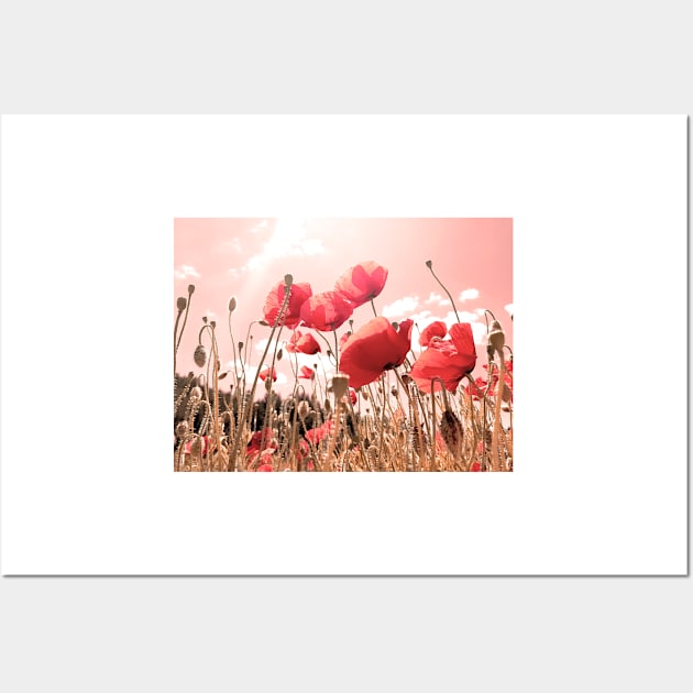 Fresh, wild, red poppies in the field, color photography, delicate flowers image Wall Art by KINKDesign